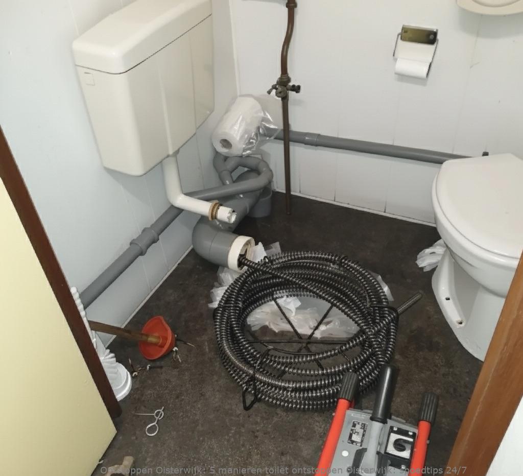 5 manieren toilet ontstoppen Oisterwijk: spoedtips 24/7