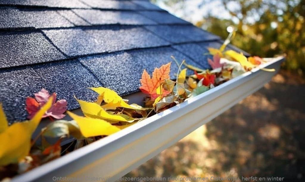 Seizoensgebonden rioolproblemen Oisterwijk: herfst en winter