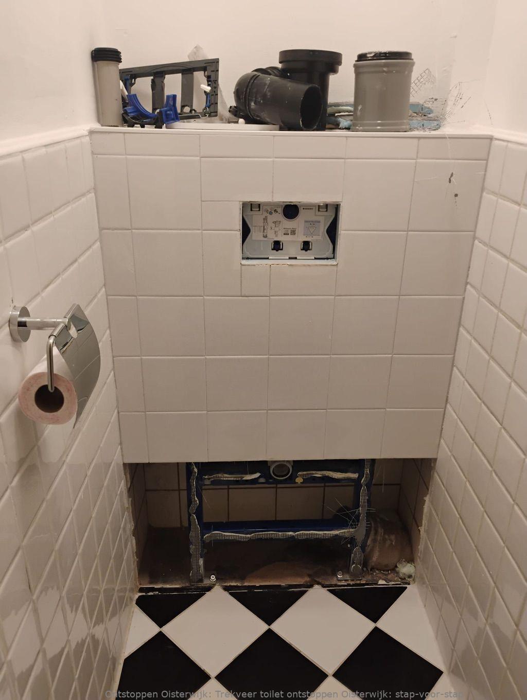 Trekveer toilet ontstoppen Oisterwijk: stap-voor-stap