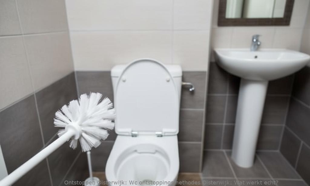 Wc ontstoppingsmethodes Oisterwijk: Wat werkt echt?