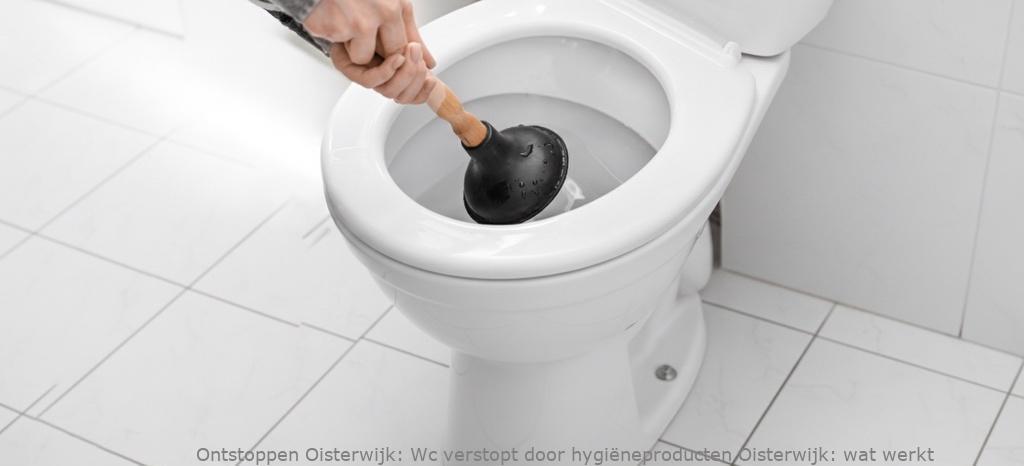 Wc verstopt door hygiëneproducten Oisterwijk: wat werkt